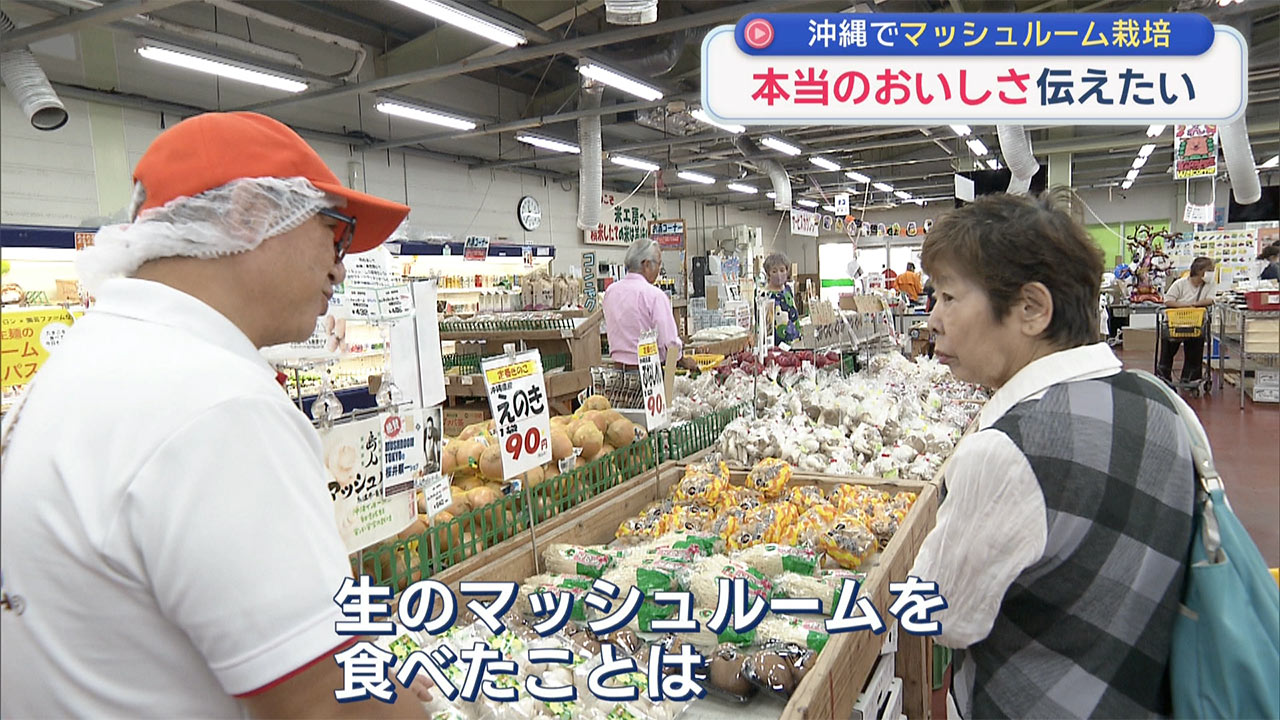 県産マッシュルームを広めたい! 栽培に奮闘するマッシュルーム生産者