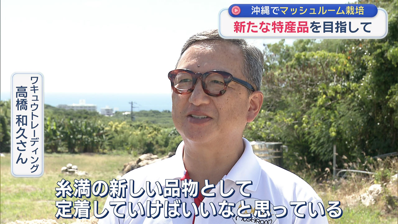 県産マッシュルームを広めたい! 栽培に奮闘するマッシュルーム生産者