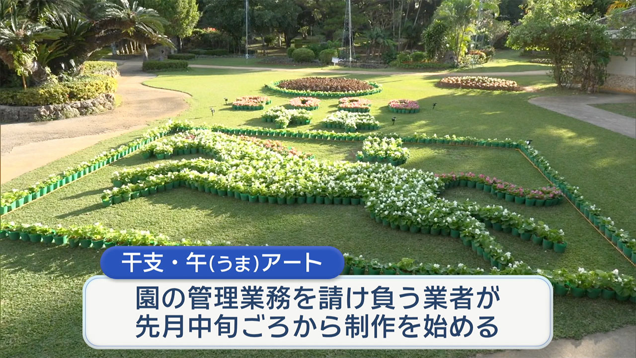 宮古島市植物園に午年アート登場　1500個の花が彩る新年の写真スポット