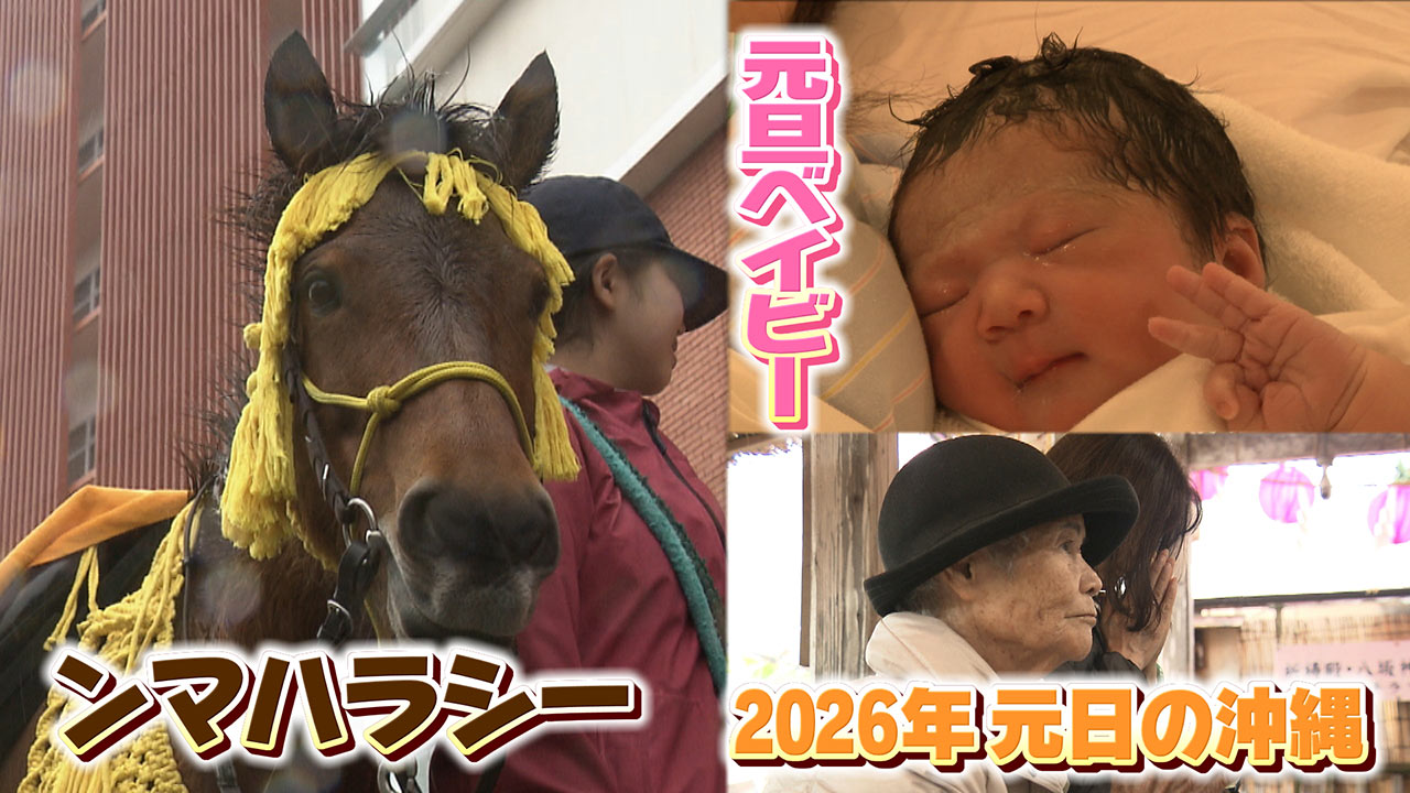 ２０２６年 元旦ベイビーの誕生に 今年の目標を聞きました