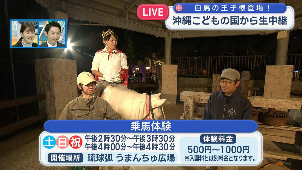 今年の干支「午」にちなんで沖縄こどもの国からウマ中継！？