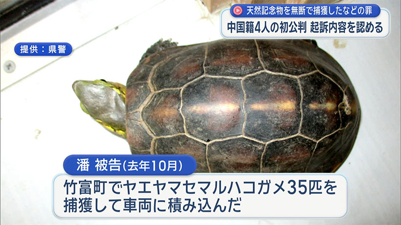 天然記念物のカメ密輸入した中国籍の4人の初公判 起訴内容認める