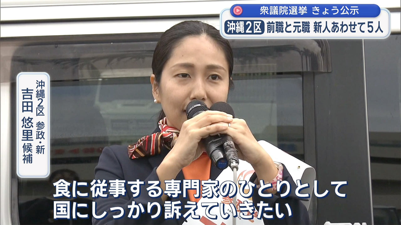 第51回衆議院選挙が公示 17人が立候補