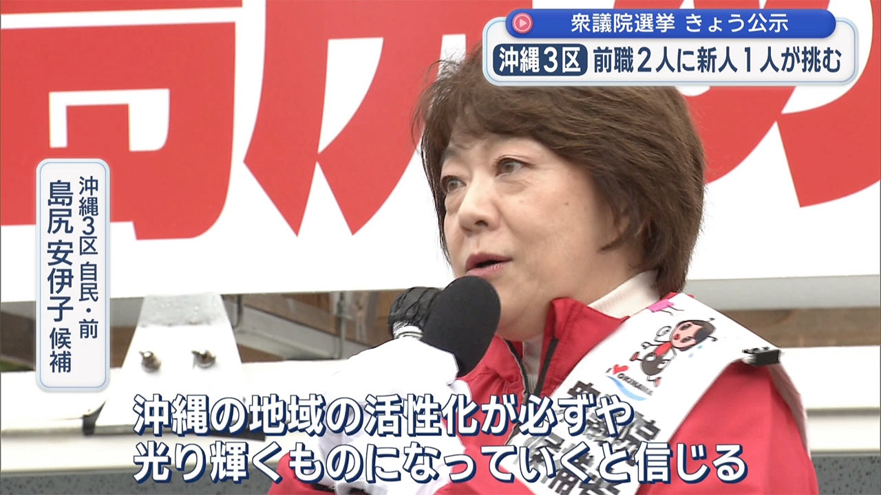 第51回衆議院選挙が公示 17人が立候補