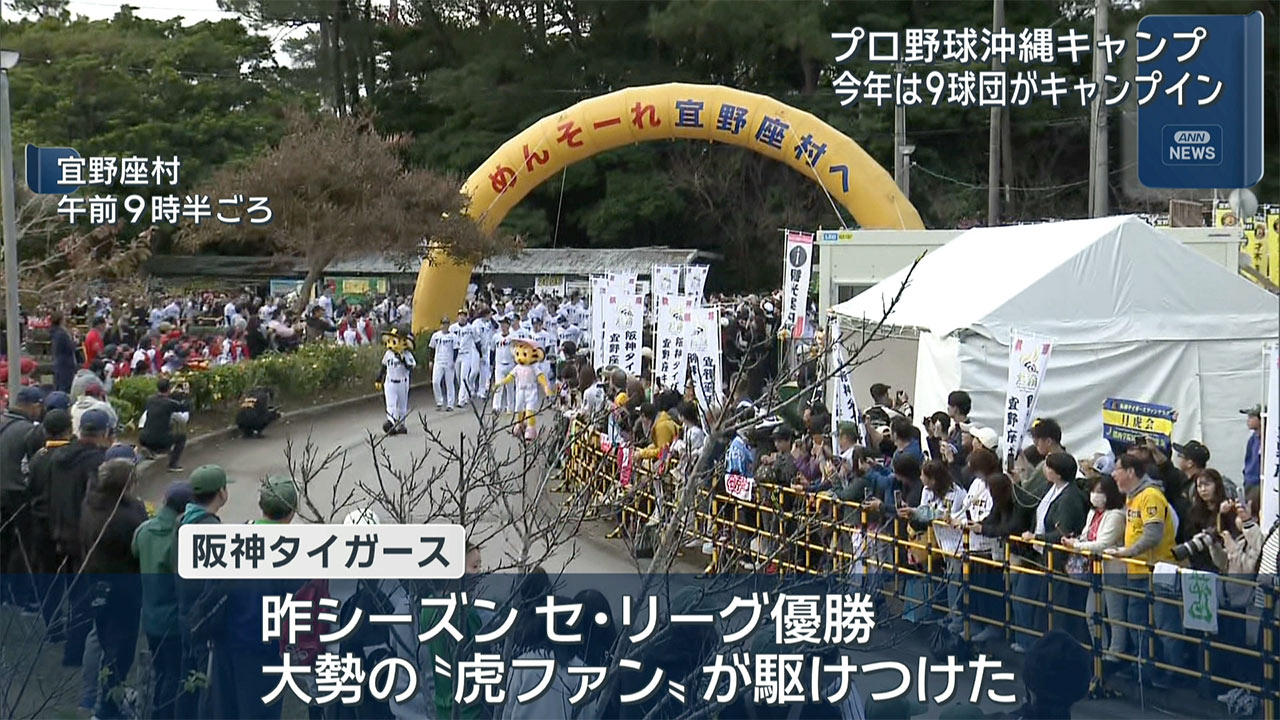 プロ野球沖縄キャンプがスタート！