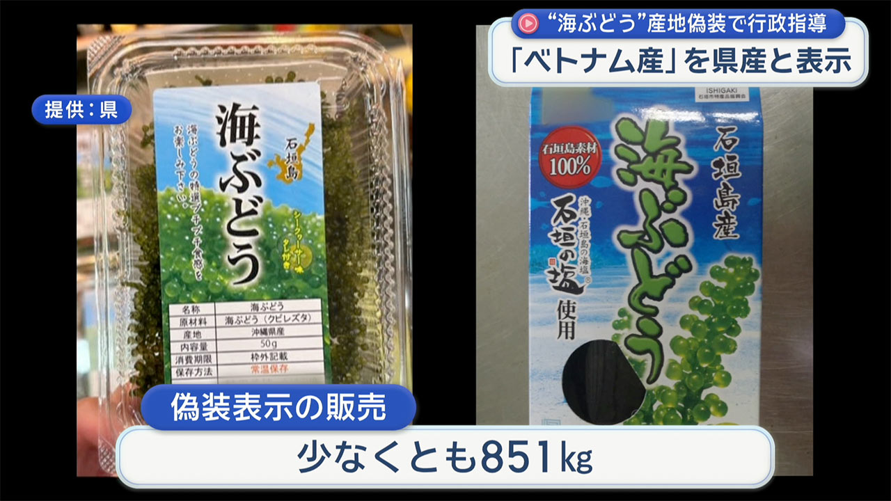 「ベトナム産」の海ブドウを県産に偽装　県が石垣市の業者に行政指導