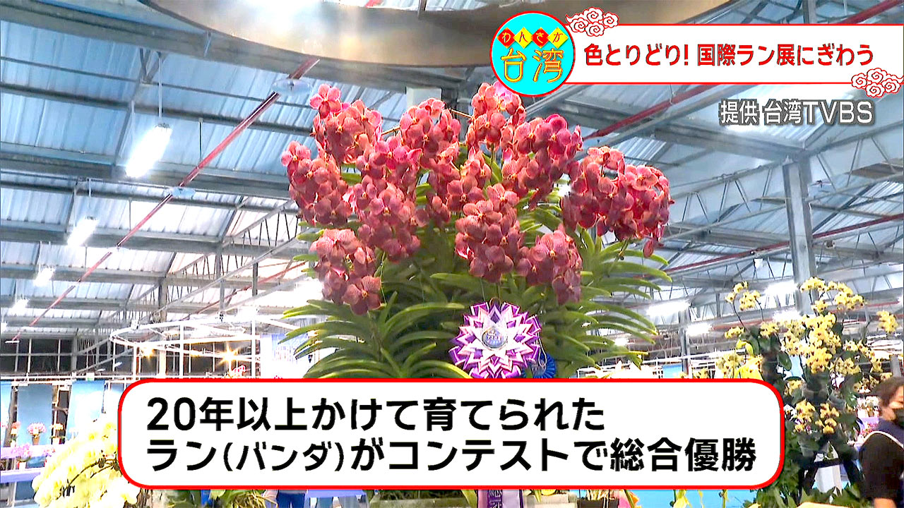 わんさか台湾　華やかなラン展や話題レストラン