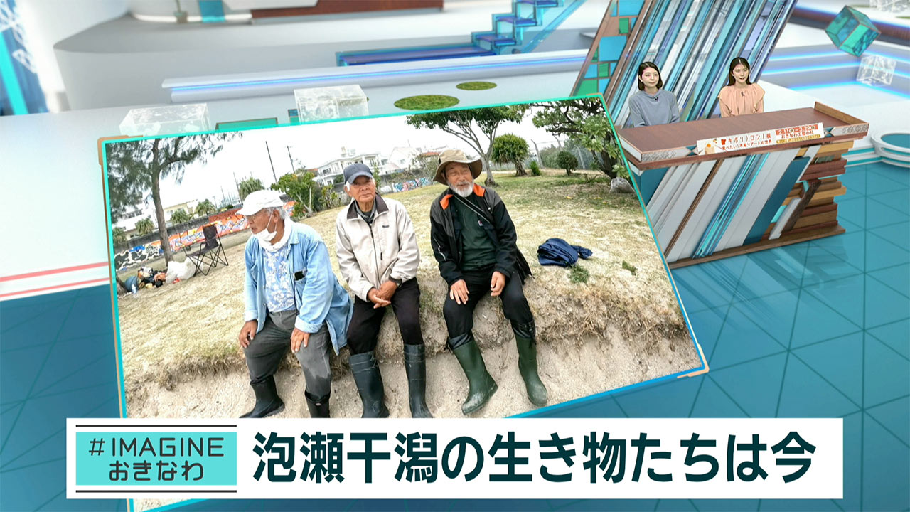 ＃IMAGINEおきなわ vol.97「泡瀬干潟の今～絶滅危惧種クビレミドロをさがせ！」