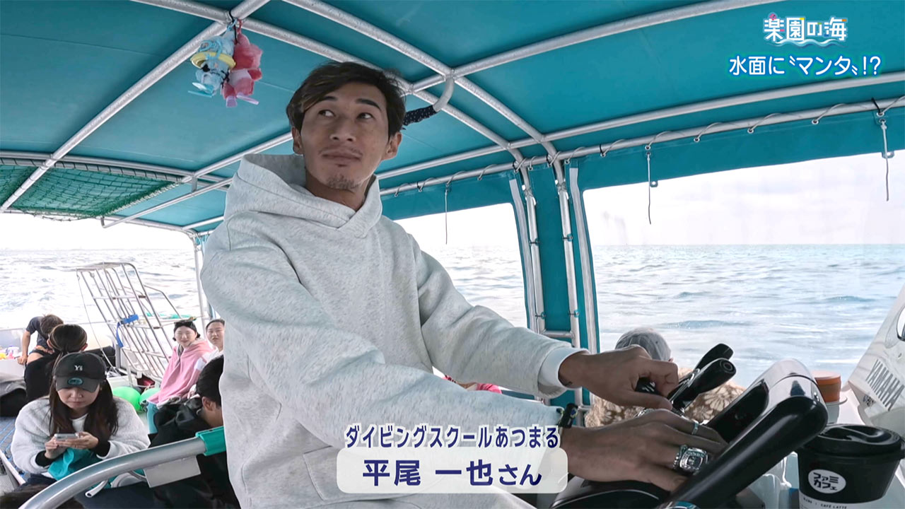 楽園の海 水面に「マンタ」!?