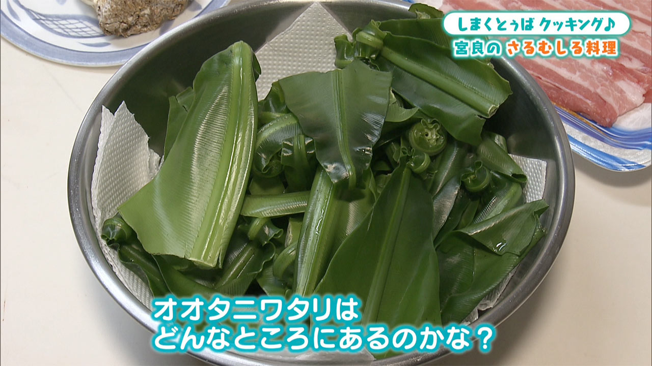 山菜の日！石垣島宮良言葉でさるむしるクッキング