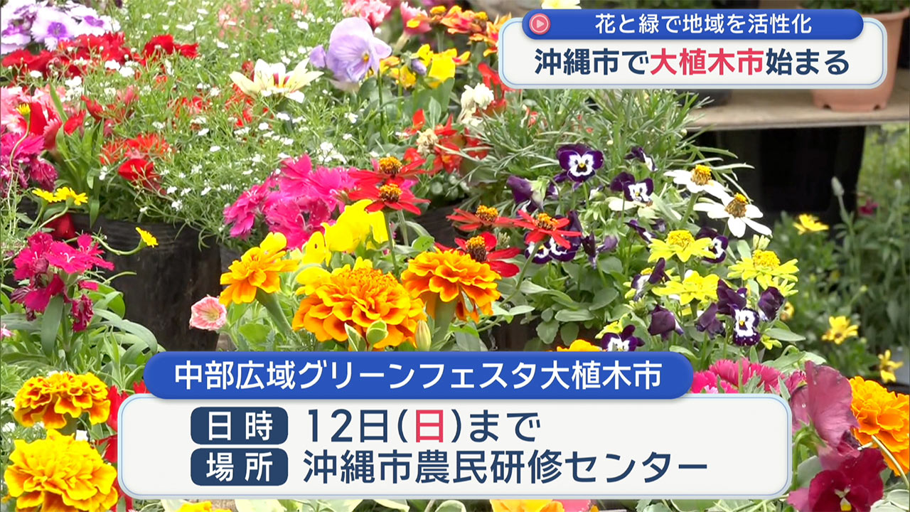 中部広域グリーンフェスタ大植木市