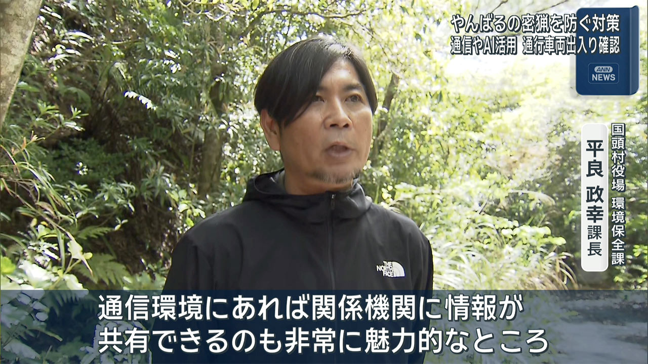通信×AIを活用　やんばるの密猟対策