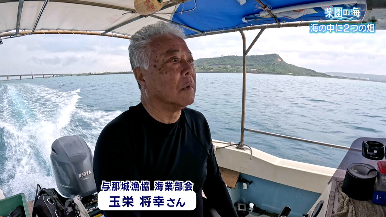 楽園の海　海の中の２つの畑