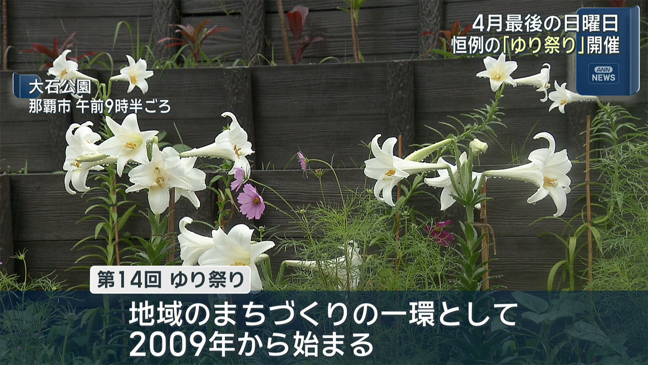 約3000本のゆりが開花　那覇市でゆり祭り開催