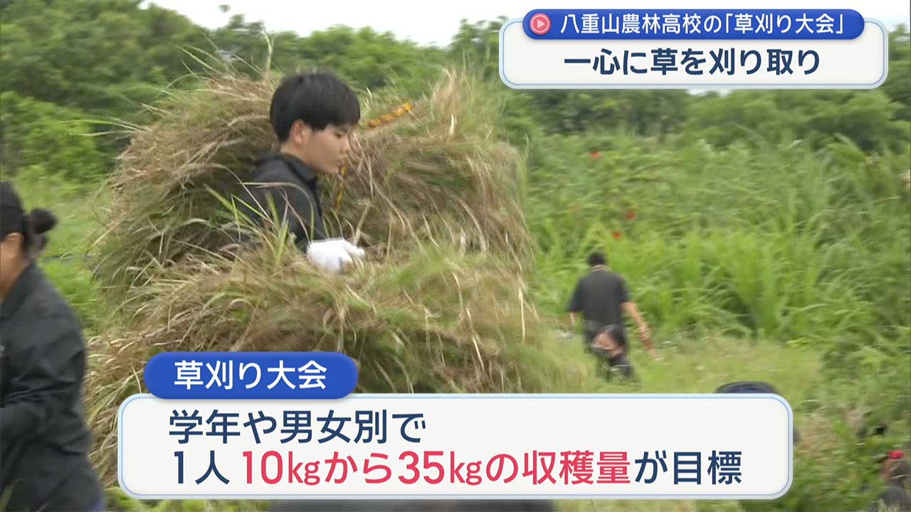 八重山農林高校「草刈り大会」