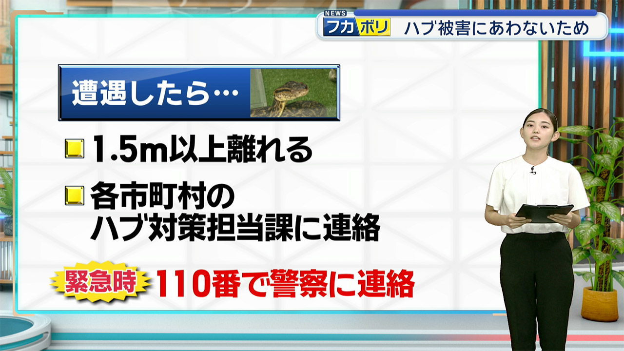 県がハブ咬症注意報を発表　去年の被害は４７件