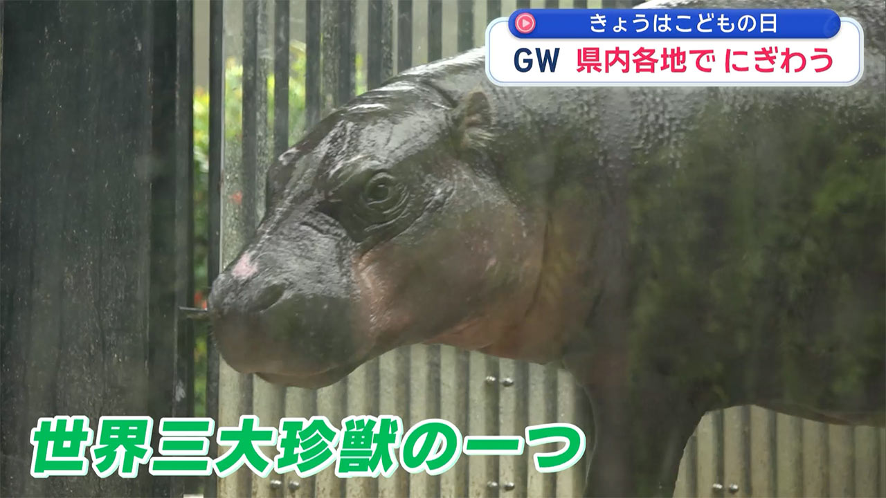 ＧＷ各地の様子　～こどもの日～