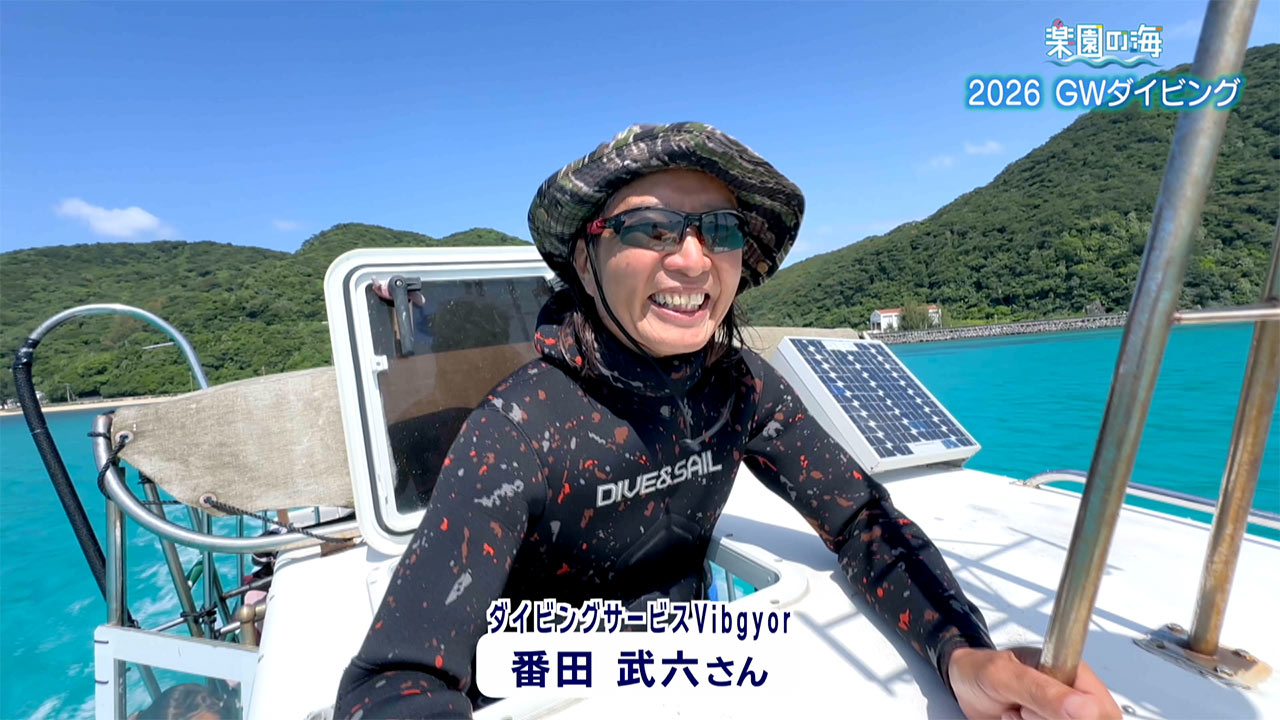 楽園の海　2026 GWダイビング
