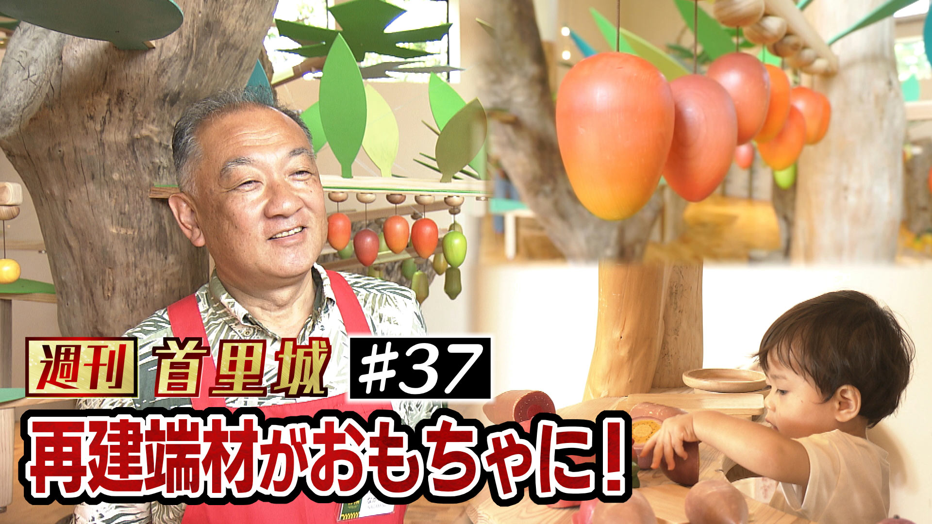 第37回 週刊首里城「再建端材のゆくえ」