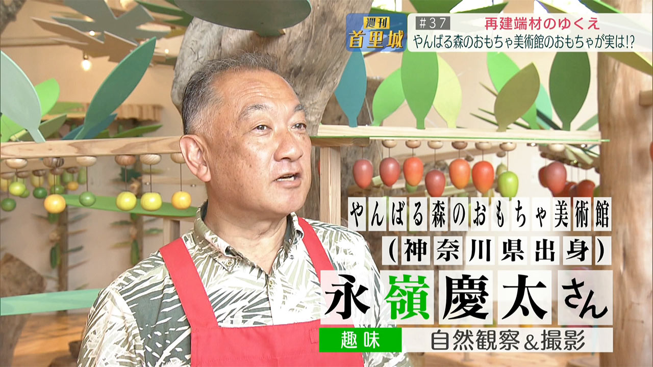 第37回 週刊首里城「再建端材のゆくえ」