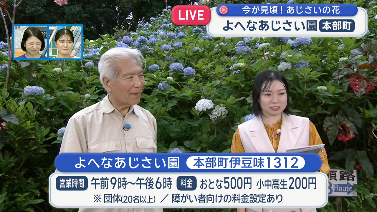 中継　よへなあじさい園