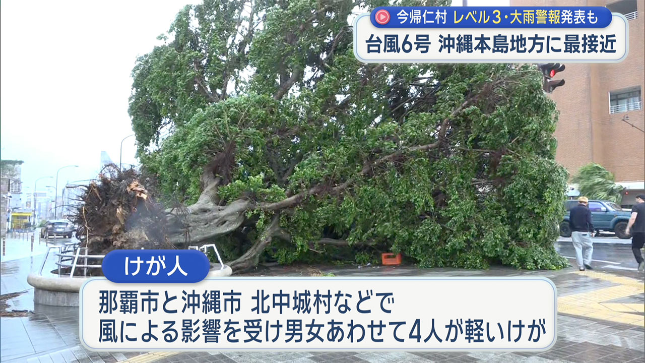 6月1日　台風6号の概況
