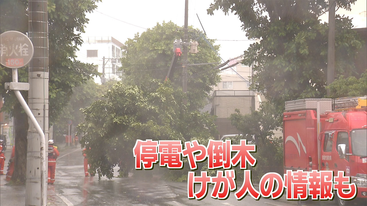 6月1日　台風6号の概況