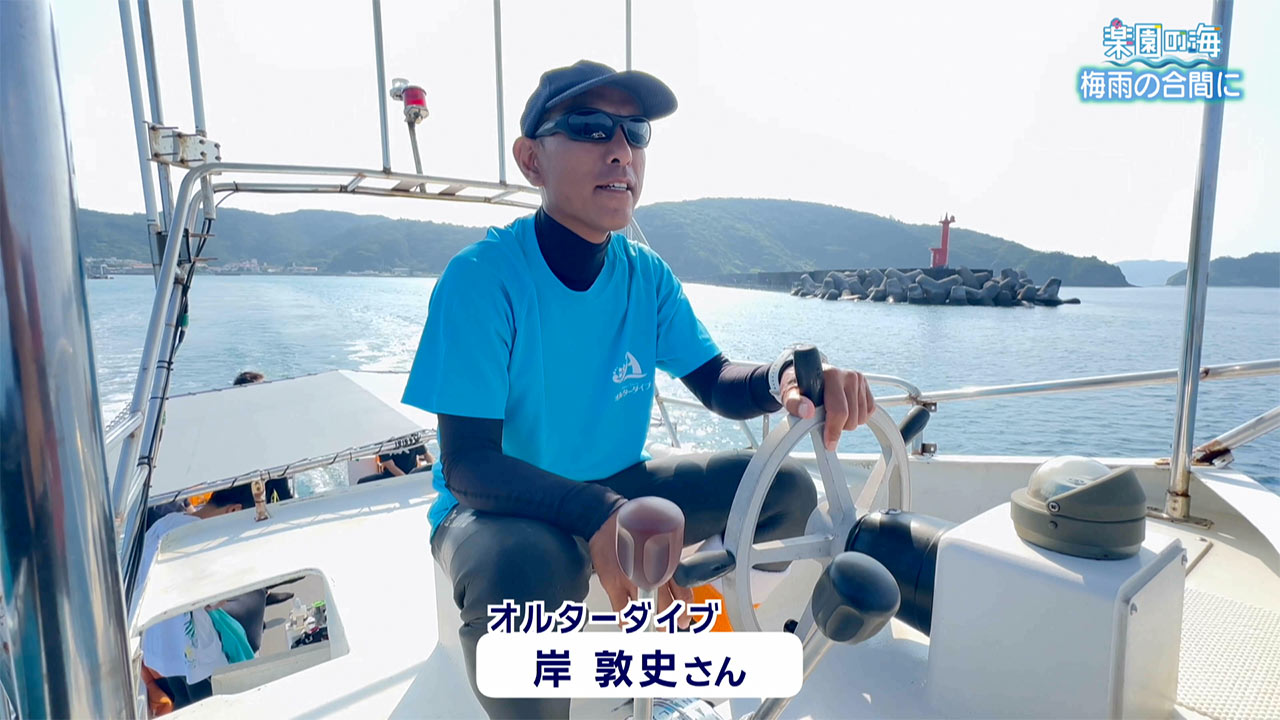 楽園の海　梅雨の合間に
