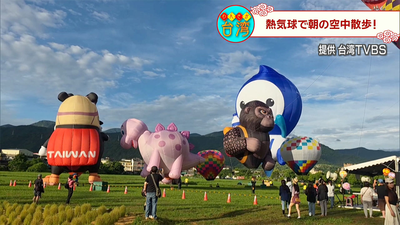 わんさか台わん　６月