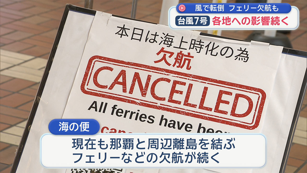 風で転倒　フェリー欠航も　台風7号各地への影響続く