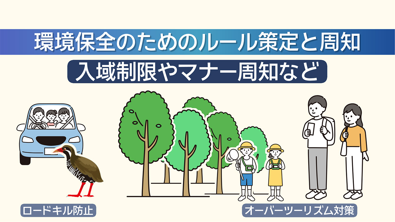 ジャングリアの経済効果は？／ビジネスキャッチー