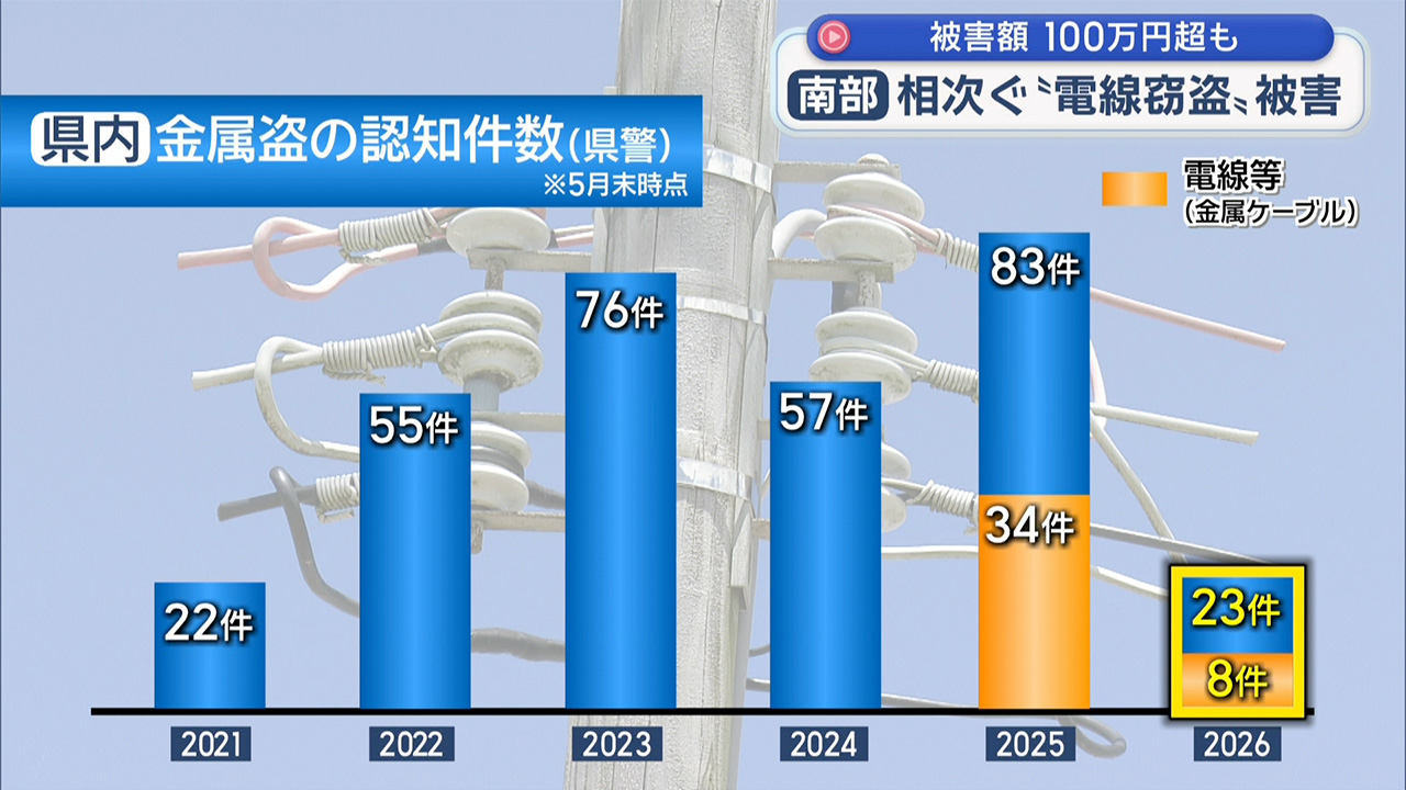 本島南部のキク農家で電線盗難の被害相次ぐ　その実態とは？