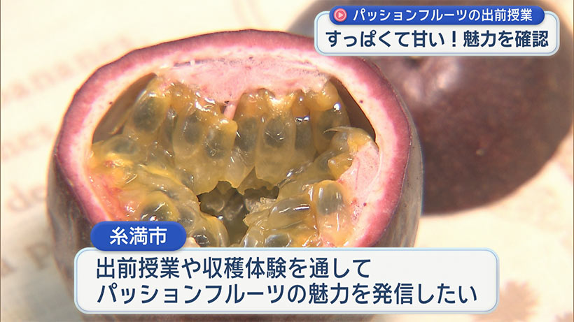 糸満市の小学校でパッションフルーツの出前授業