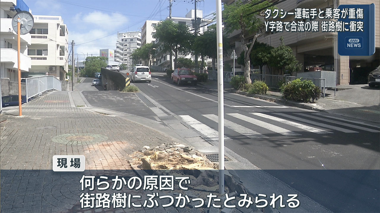 タクシーが街路樹に衝突　８０代運転手と乗客重傷