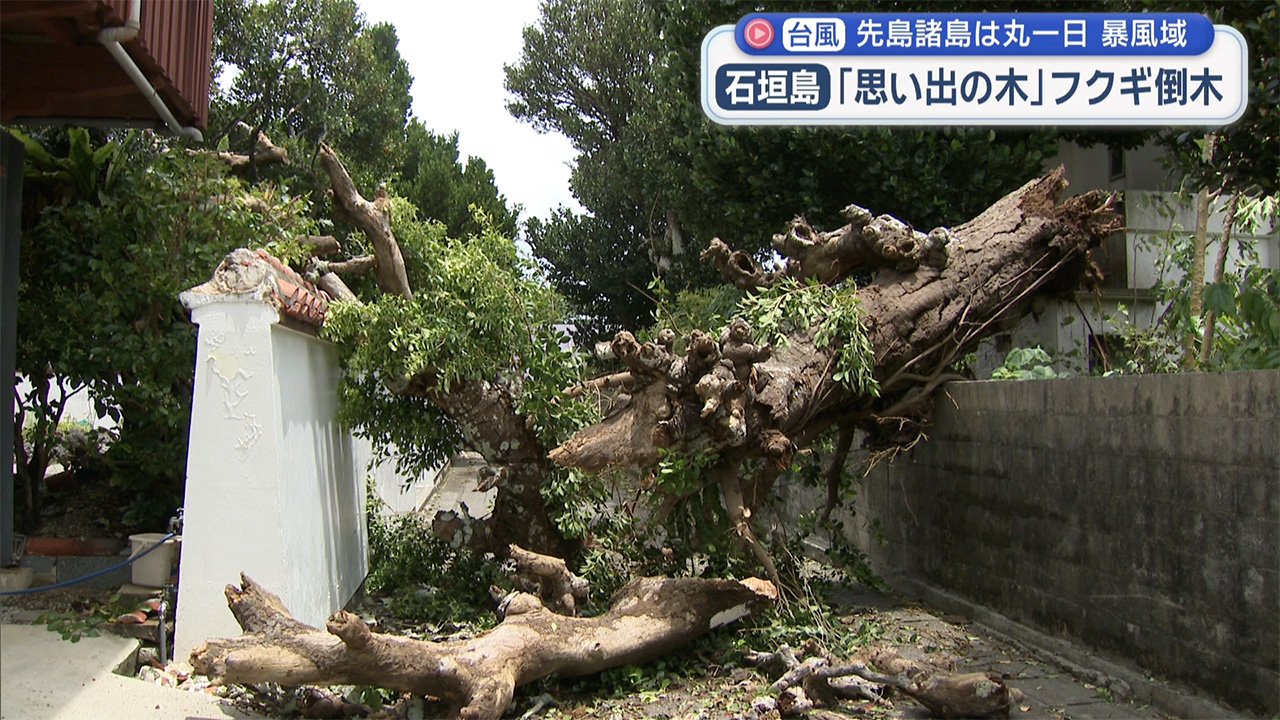 宮古島ではきょうも停電／台風9号影響まとめ