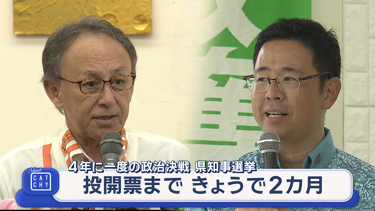 県知事選挙　投開票まで今日で２カ月