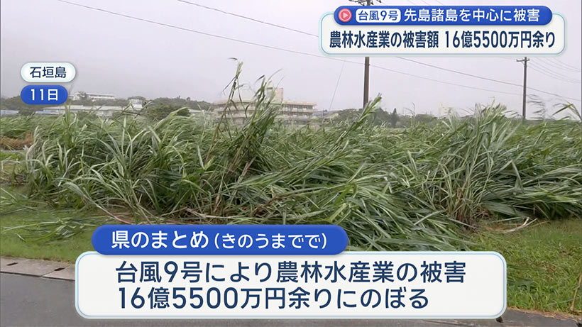台風９号で農林水産業に１６億円あまりの被害