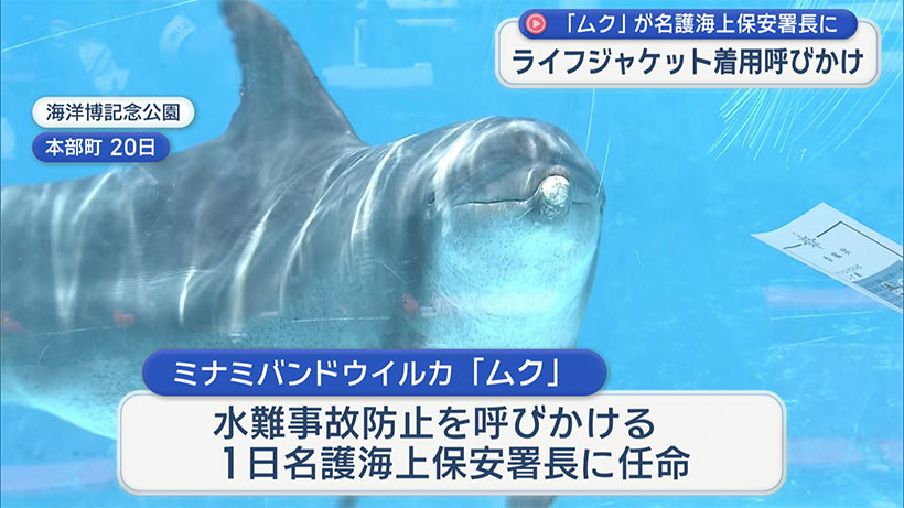 一日海上保安署長にイルカの「ムク」任命