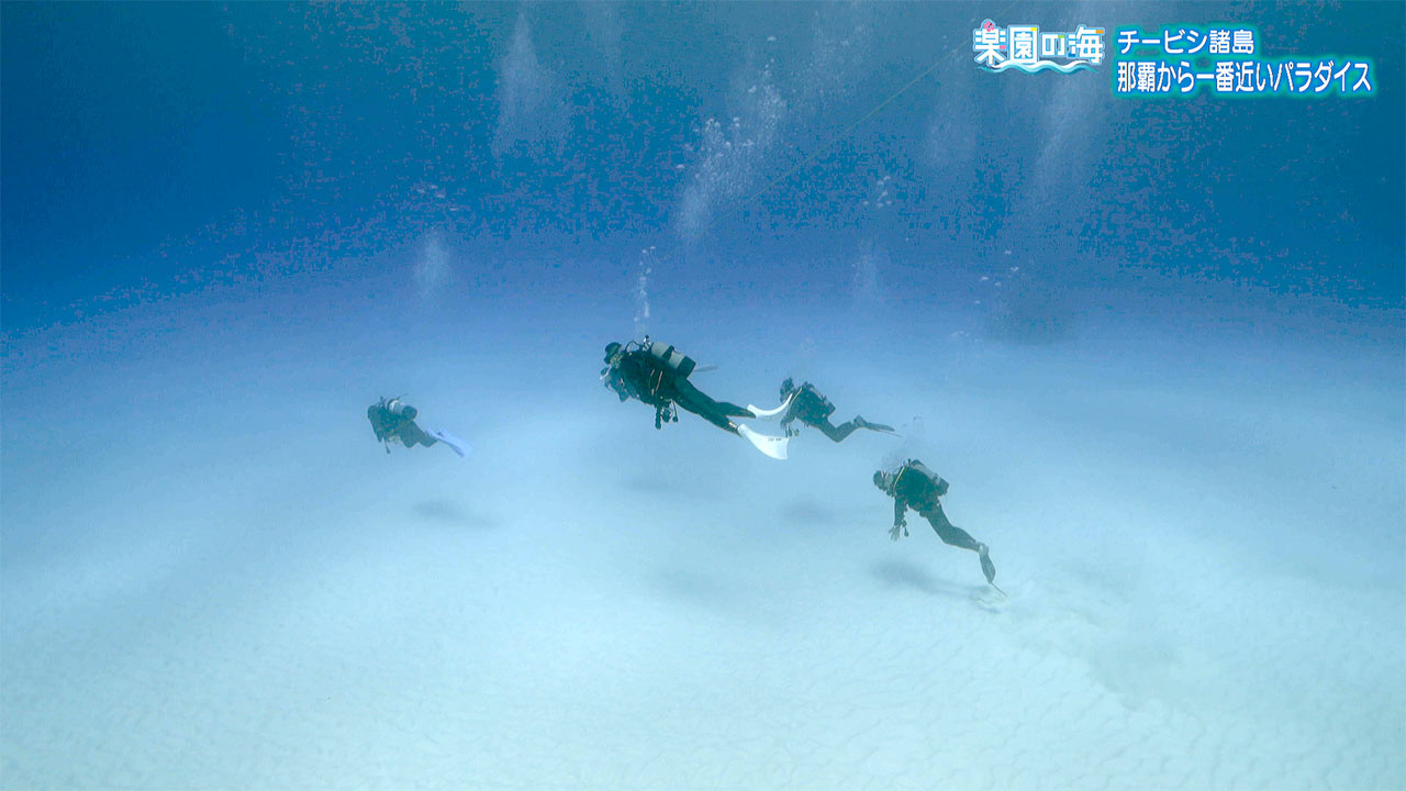 楽園の海 チービシ諸島 那覇から一番近いパラダイス
