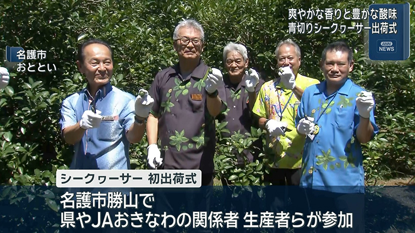 シークヮーサー初出荷式