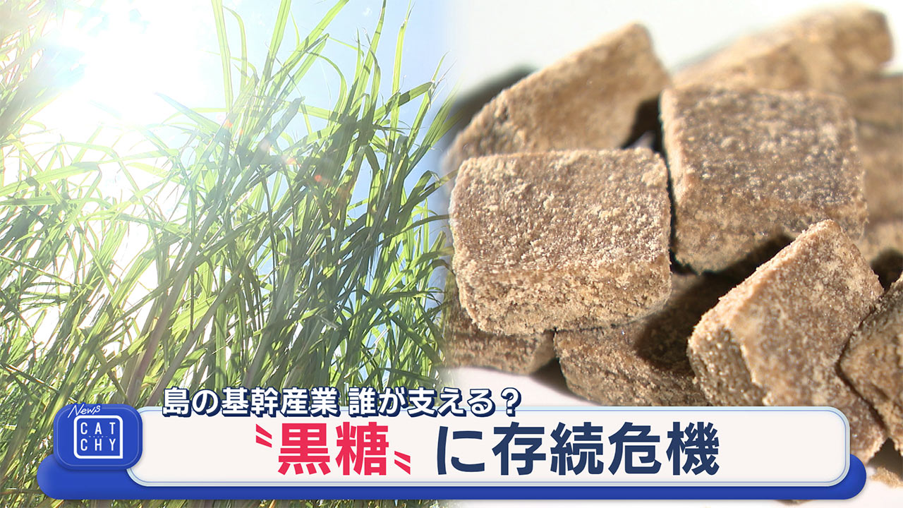 離島の“黒糖”に存続危機　島の基幹産業　誰が支える？