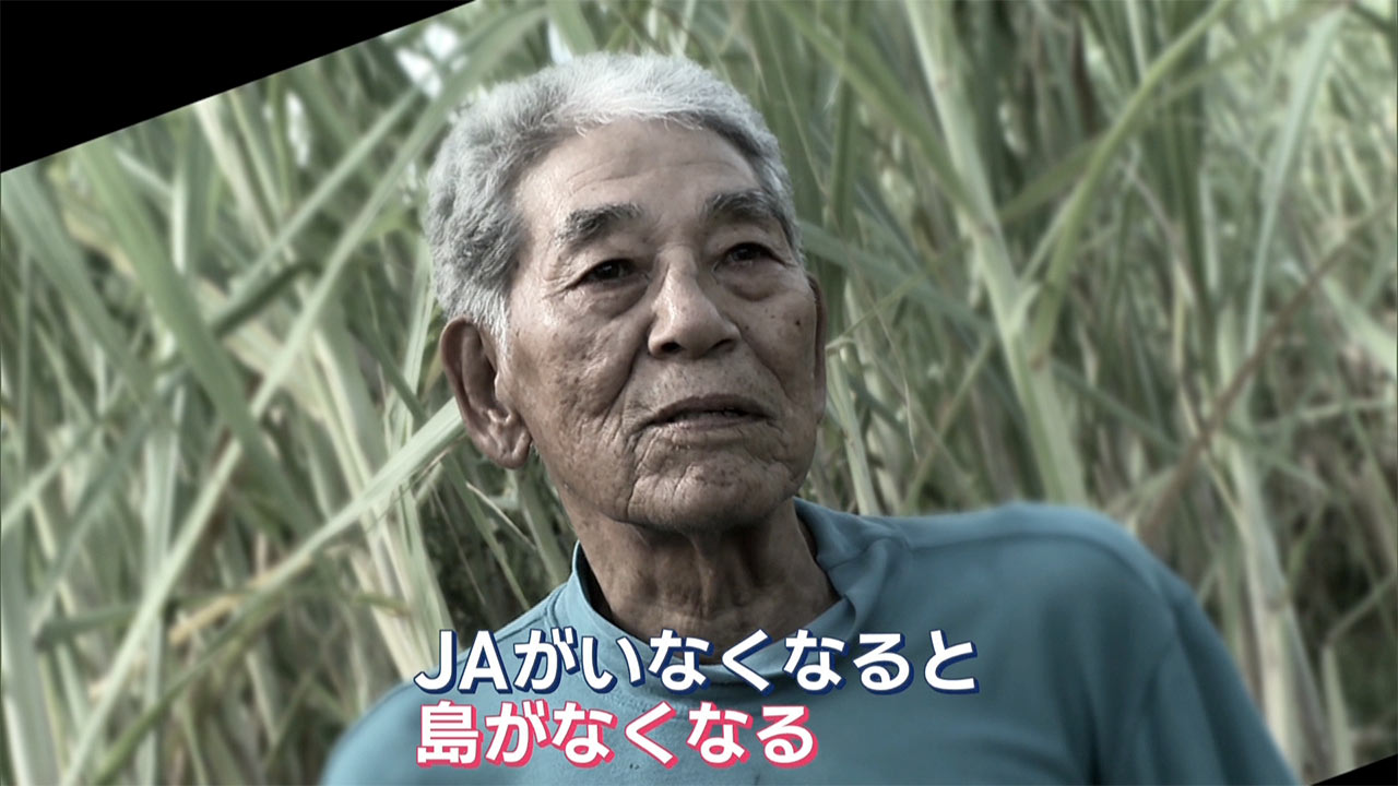離島の“黒糖”に存続危機　島の基幹産業　誰が支える？　