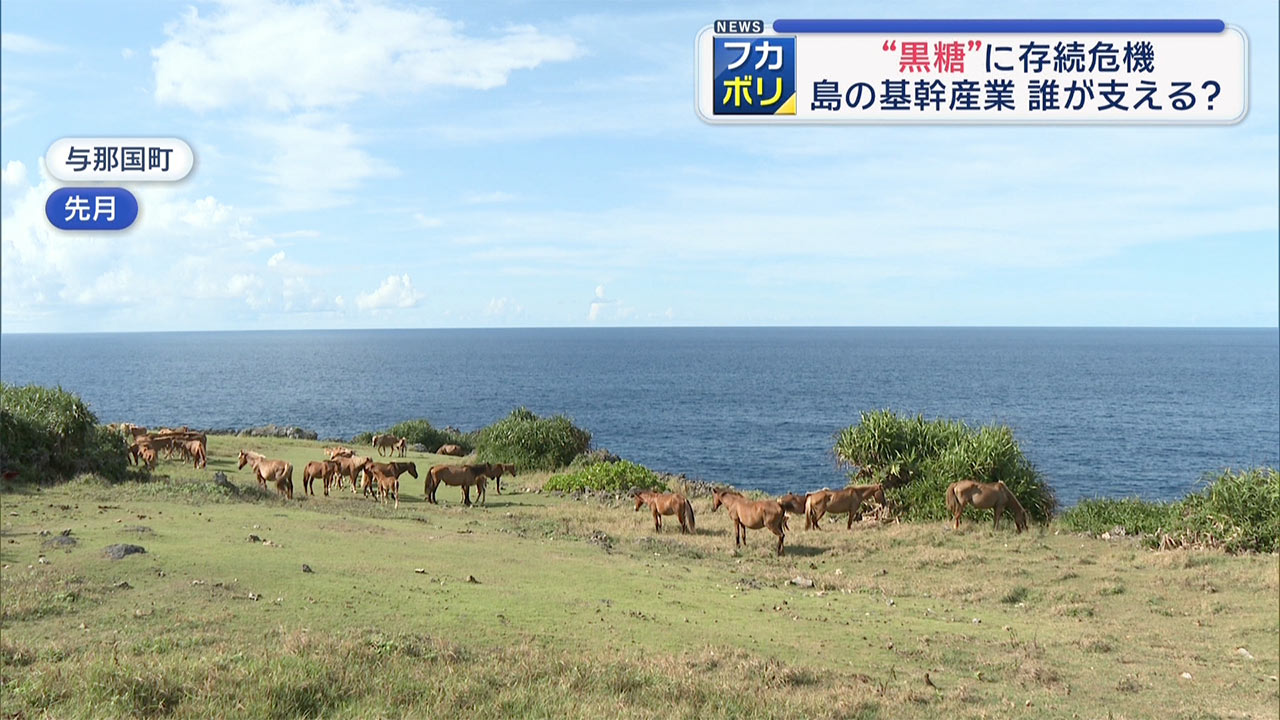 離島の“黒糖”に存続危機　島の基幹産業　誰が支える？　