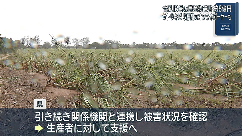 台風13号　農作物被害　約8億円