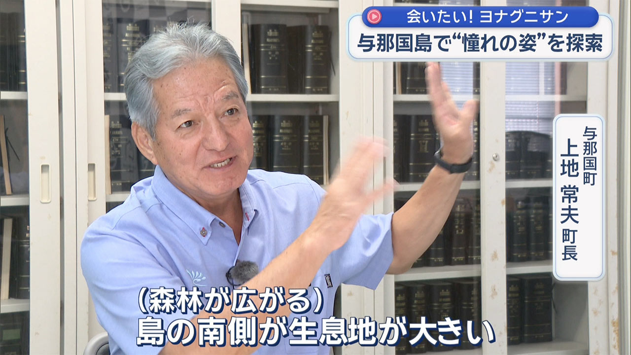 憧れのヨナグニサンを探して 与那国島・真夏の大捜索