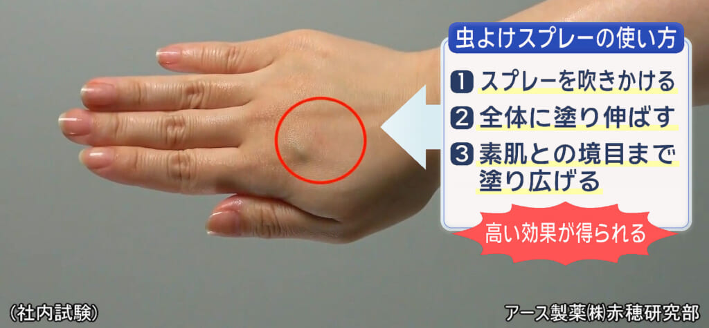 蚊は手に止まる？親子で体験！害虫のふしぎ実験／ビジネスキャッチー