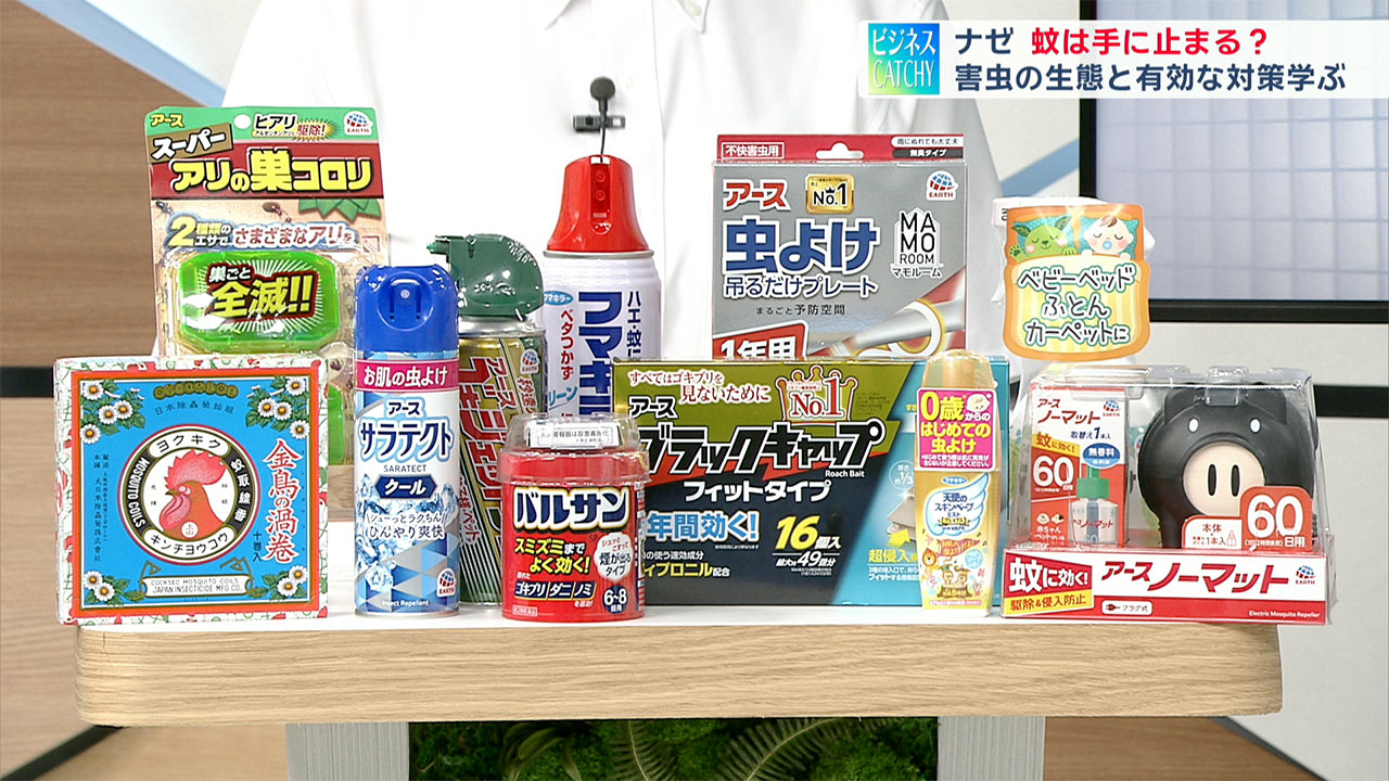 蚊は手に止まる？親子で体験！害虫のふしぎ実験／ビジネスキャッチー
