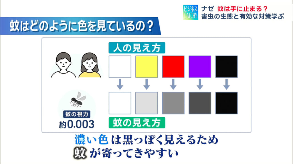 蚊は手に止まる？親子で体験！害虫のふしぎ実験／ビジネスキャッチー