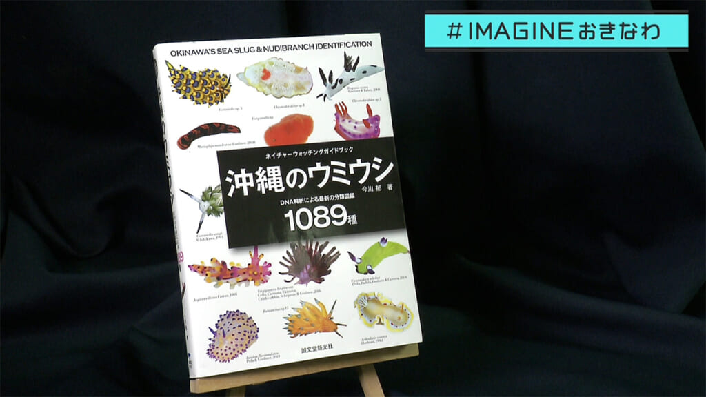 ＃IMAGINEおきなわ vol.103 「出た！図鑑　沖縄のウミウシ１０８９種」