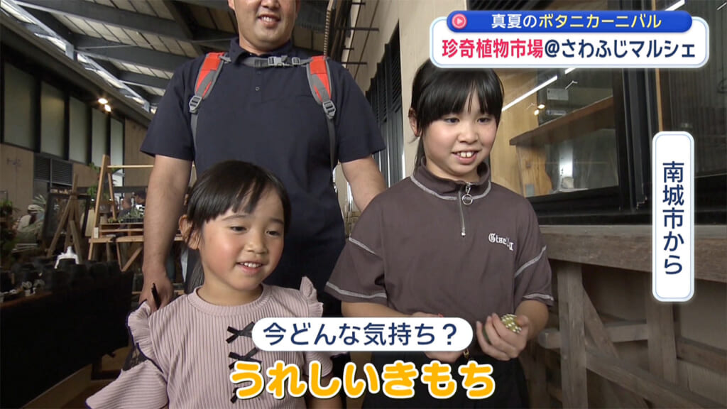 真夏に負けない！珍奇植物市場に潜入